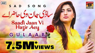 Gulaab  quotSadi Jaanquot  Latest Punjabi Songs  TP Gold [upl. by Cotter]