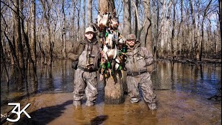 Arkansas Duck Hunting  5 Man In The Trees [upl. by Christis719]