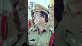 బకరా అవ్వడంలో బ్రహ్మి తర్వాతే ఎవరైనా 🤣  Brahmanandam Hilarious Introduction  Ramachari  Venu [upl. by Aurelio619]