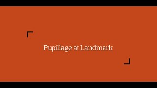 Pupillage at Landmark Chambers [upl. by Ena]