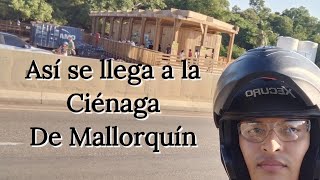 Así se llega a la Ciénaga de Mallorquín en Barranquilla [upl. by Safir832]