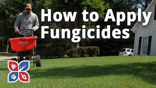 Do My Own Lawn Care  How to Apply Fungicides  Ep17 [upl. by Ecneitap]