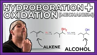 HydroborationOxidationMechanism  Examples [upl. by Opiak953]