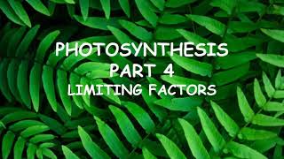 CCEA GCSE Biology Unit 1 Photosynthesis 4 limiting factors [upl. by Loux524]