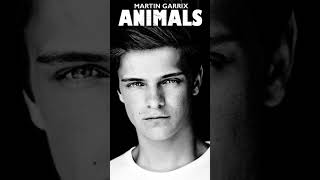 Martin Garrix  Animals [upl. by Karleen]