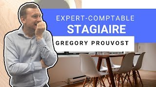 EXPERT COMPTABLE STAGIAIRE  Mes conseils dexpertcomptable [upl. by Weisbart190]