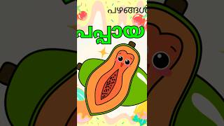 Fruits names in Malayalamപഴങ്ങളുടെ പേരുകൾ മലയാളത്തിൽpazhangalude perukal malayalathil [upl. by Northrup]