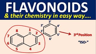 Flavonoids and their chemistry in easy way [upl. by Ahsekahs]