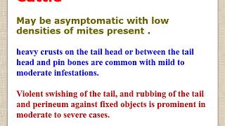 chorioptic and demodectic mange lecture for vet students [upl. by Nakhsa499]