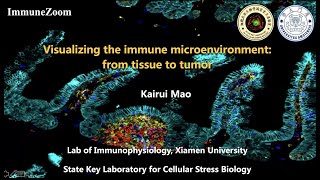 Visualizing the immune microenvironment from tissue to tumor [upl. by Cairns]