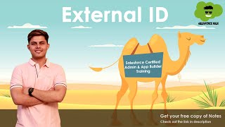 What is External ID in Salesforce  Salesforce Tutorial [upl. by Airotnes583]