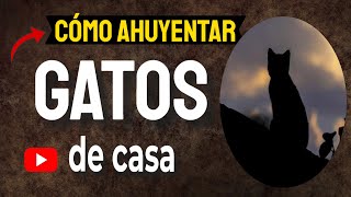 🔴🔴 ¿Cómo AHUYENTAR GATOS de Casa 🐱 [upl. by Elahcim54]