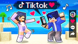 Using The TIKTOK MOD In Minecraft [upl. by Theall]