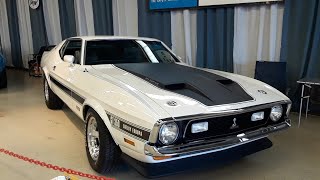 19711973 Mustang Mach 1 amp Boss Mustang and A Rare Shelby Europa At the 2021 Ford Nationals [upl. by Petes]