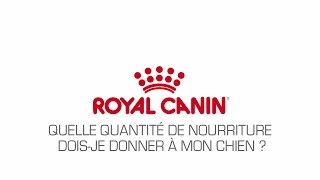 Comment connaitre la quantité de nourriture à donner à mon chien [upl. by Conway]