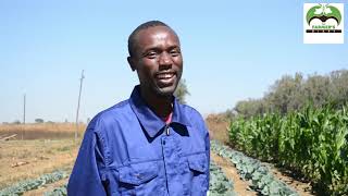 Young horticulture farmer with big dreams in Zimbabwe [upl. by Andri]