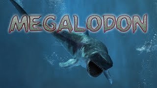 Megalodon der Urzeithai  in 4D erleben im Praehistorium [upl. by Mellisa66]