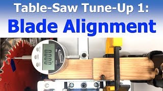 Table Saw TuneUp 1 Blade Alignment [upl. by Seditsira]