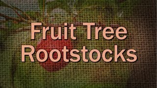 Fruit Tree Rootstock Basics – Family Plot [upl. by Swithbart6]