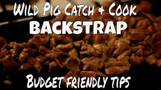 Wild Pig Catch amp Cook  Backstrap Recipe Budget Friendly tips [upl. by Eilliw168]