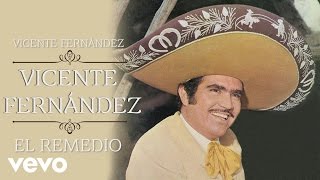 Vicente Fernández  El Remedio Cover Audio [upl. by Alacim46]