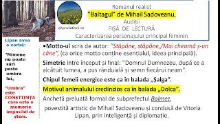 M Sadoveanu ”Baltagul” Audiție Fișă de lectură Caracterizarea personajului principal feminin [upl. by Luaped]