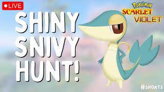 🔴 I HATCHED SHINY SNIVY masuda method  Live Stream  Pokemon Scarlet Violet [upl. by Meriel307]