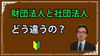 社団法人と財団法人の違い [upl. by Onitnas]