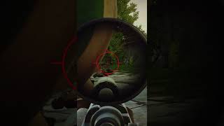 The Only Sniper Solos Need In Escape From Tarkov shorts [upl. by Surdna]