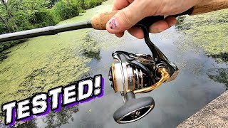 Daiwa Exceler LT Spinning Reel TEST REVIEW [upl. by Blackburn]