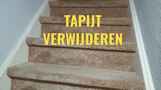 TAPIJT VERWIJDEREN [upl. by Larissa]