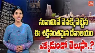 Special Story On Thiruchendur Subramaniya Swamy Temple  Thiruchendur Murugan Temple Facts  YOYO TV [upl. by Rik]