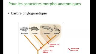 principes de phylogenie [upl. by Uehttam]