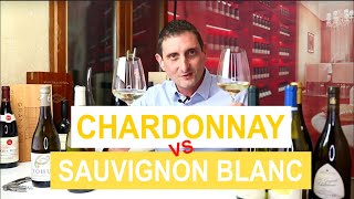 Chardonnay Vs Sauvignon Blanc Comparing the 2 Most Popular Types of White Wine [upl. by Telfore]