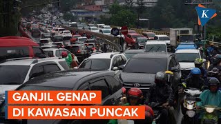 Ganjil Genap di Jalur Puncak Bogor Mulai Berlaku [upl. by Nate]