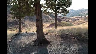 Painted Hills video 12 6k [upl. by Amsed]