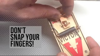 How to Set a Victor Mouse Trap [upl. by Ynnavoeg]