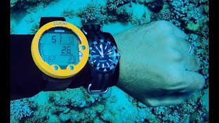 A divers guide to dive watches [upl. by Naarah]