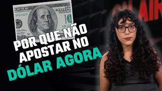 Por que investir em DÓLAR pode ser UMA MÁ IDEIA em 2024 [upl. by Blackstock296]