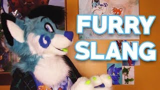 Furry Vocabulary Slang and Lingo [upl. by Posner510]