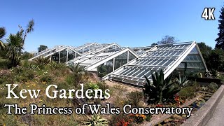 Kew Gardens  The Princess of Wales Conservatory 4K Virtual Tour [upl. by Celestyn4]