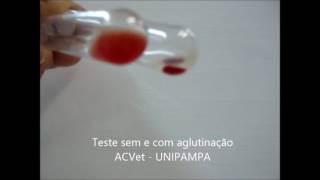 Compatibilidade Sanguínea ACVet [upl. by Doro]