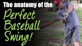 The 7 Steps to the Perfect Baseball Swing [upl. by Ellenet]