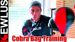 Cobra Bag Boxing Training Guide [upl. by Pul]