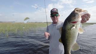 Strike King Pro Kevin VanDam KVD on Fishing a Swim Jig [upl. by Alegnad]