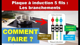 Comment brancher une plaque induction 5 fils [upl. by Peyton]