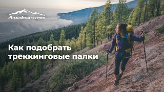 Как выбрать треккинговые палки [upl. by Yearwood]