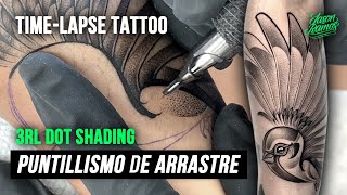 Puntillismo de Arrastre Pájaro Tatuaje en el Brazo  Dot Shading TATTOO  Whip Shading yo3rl [upl. by Dunston373]