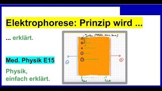 Elektrophorese einfach erklärt auch für Medizinische Physik E15 [upl. by Merta]