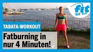 TABATAWorkout in 4 Min Fatburning garantiert 🔥 [upl. by Odidnac]